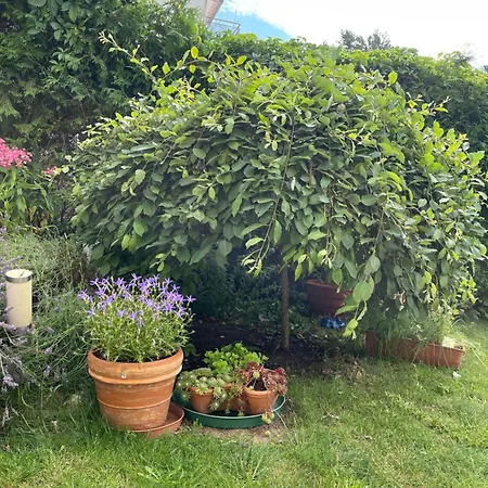 Homestay Claudias - 20 Minuten Bis Messe Nuremberg