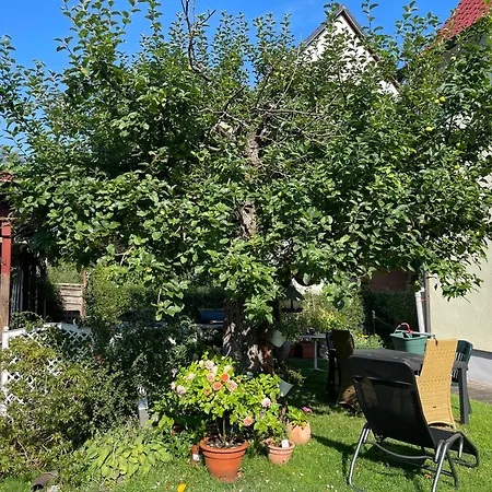 Claudias - 20 Minuten Bis Messe Homestay *